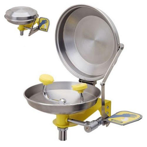 Wall Mounted Eyewash With Cover  image