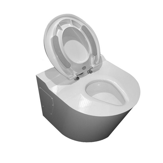 Bariatric Toilet image